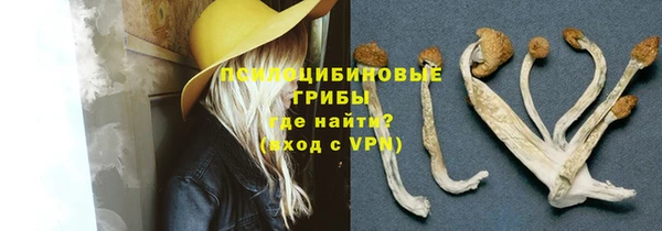 прущая мука Новозыбков