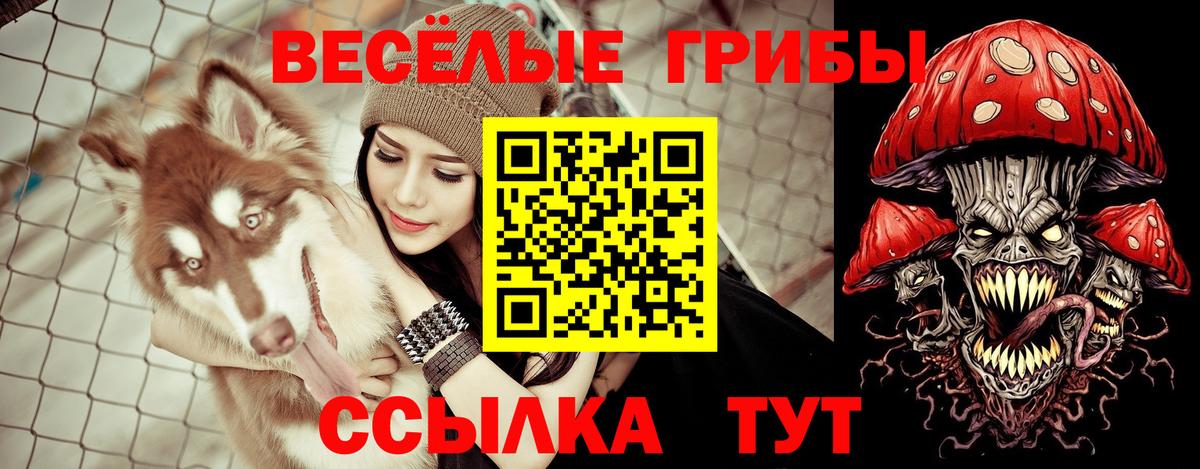 Псилоцибиновые грибы прущие грибы Туапсе