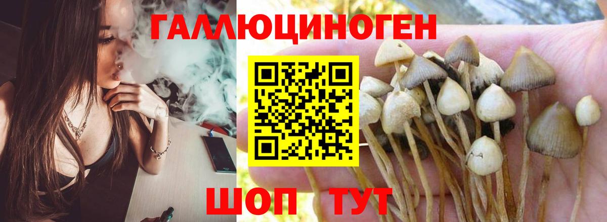 закладки  Вход с VPN  Туапсе  Псилоцибиновые грибы Psilocybe 